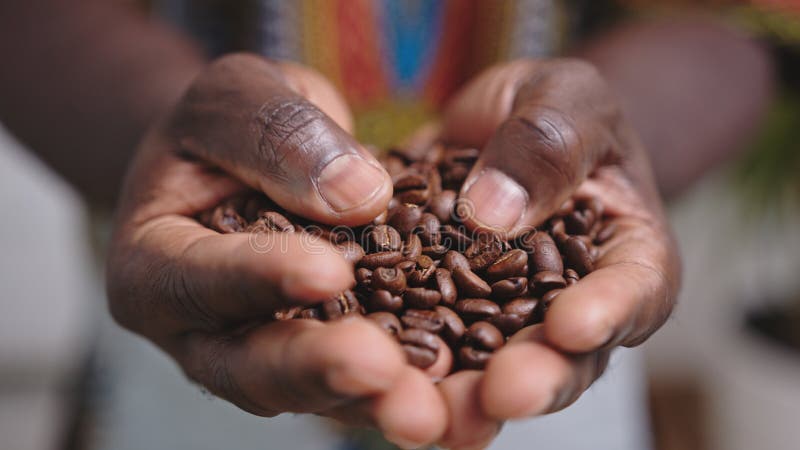 Close up, black man hands holding coffee beans