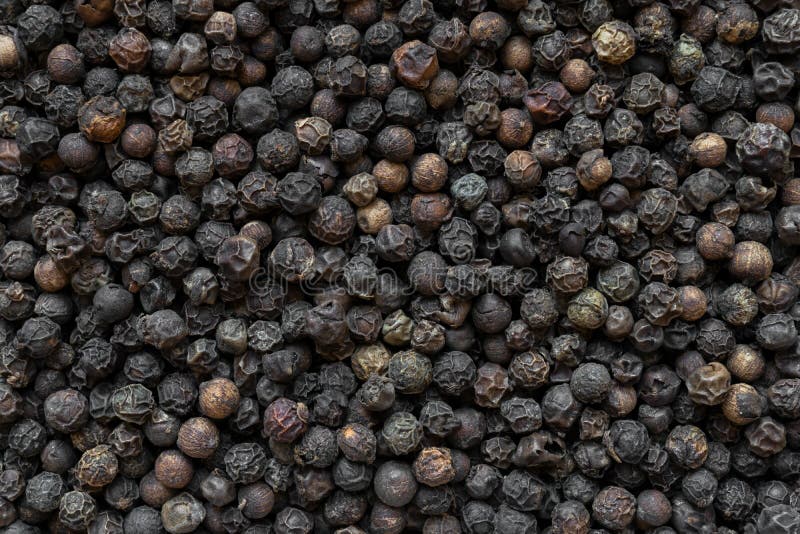 Black Pepper Grains Background Stock Image Image of cooking, piquant