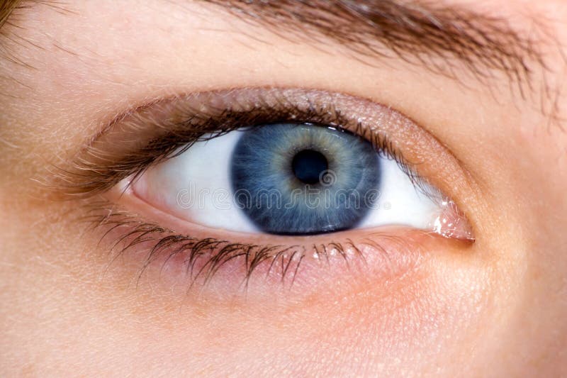 Close Up Of Blue Female  Eye  Stock Image Image of eyelash 
