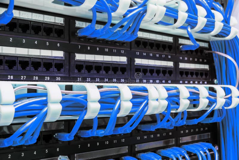 Close up of blue network cables connected to patch panel