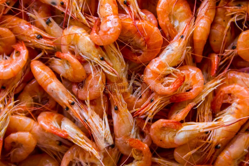 Close-up of boiled shrimps for background royalty free stock image