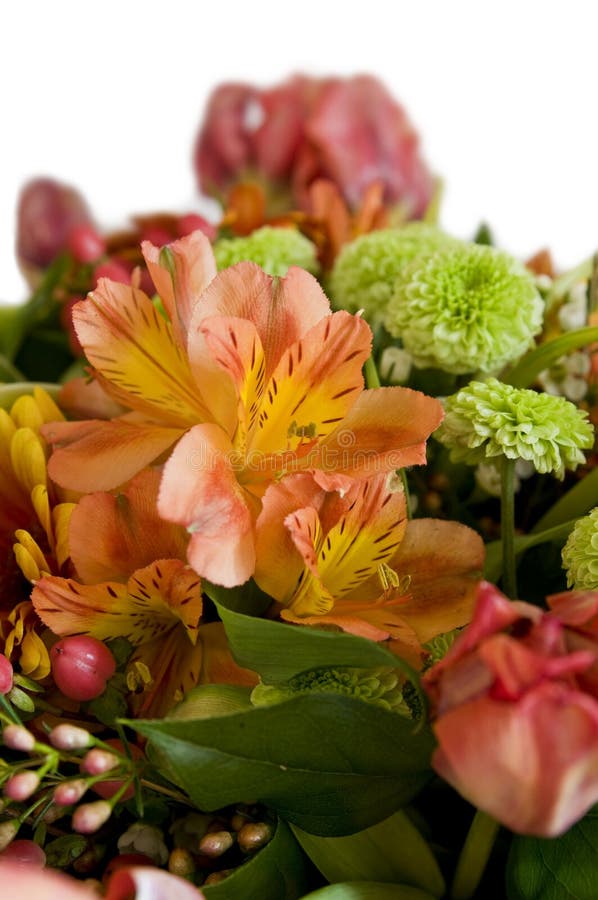 Close-up bouquet of flowers