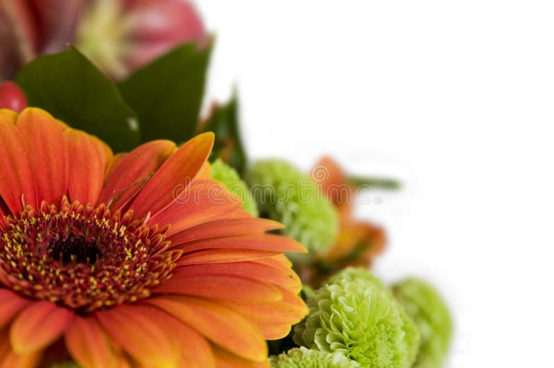 Close-up bouquet of flowers