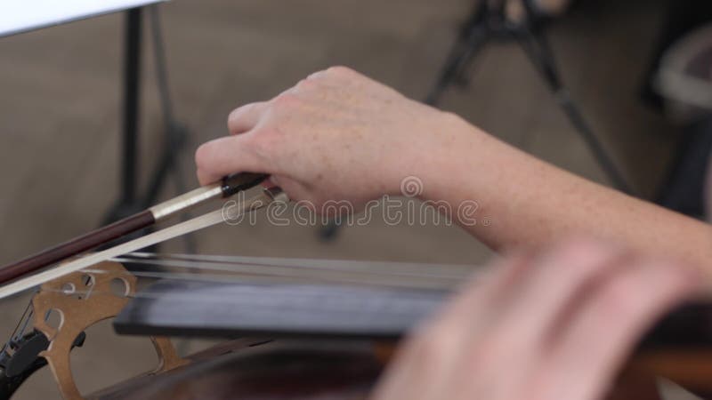 Close-up of a bow with strings of a cello, professional cellist plays stock video footage