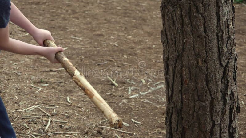 Close Up of a Boy Hitting a Tree with a Stick Stock Video - Video