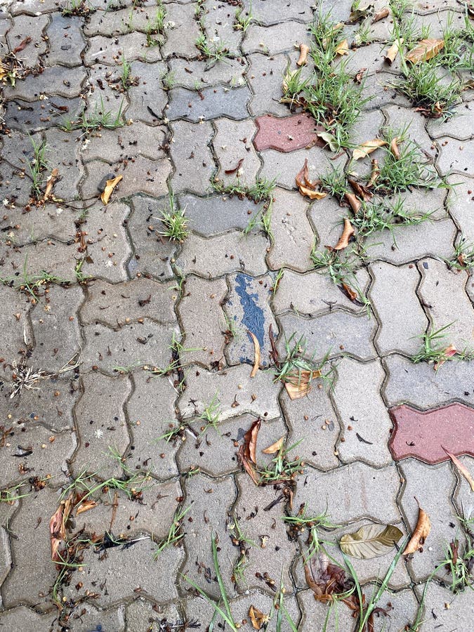 Brick floor texture royalty free stock photos