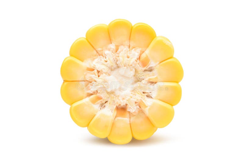 Close up broken Freshly corn in half stock photo