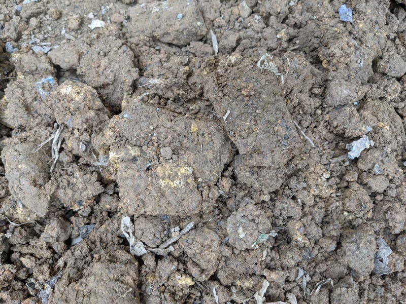 Closeup of Brown Soil Texture Stock Photo Image of flooring, bedrock