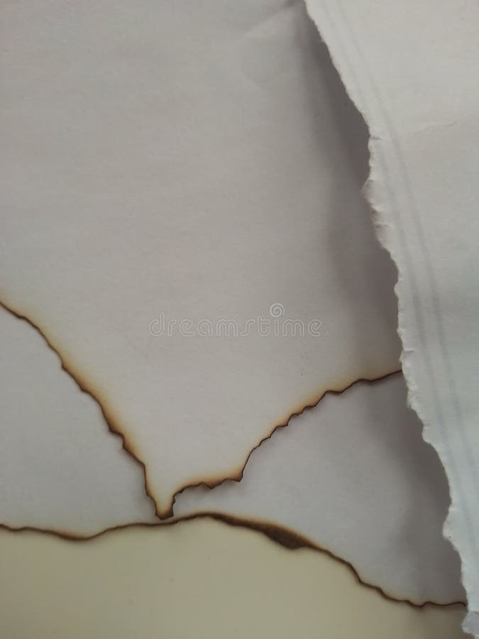Close-Up of Burnt Paper Edge Creating an Organic Abstract Pattern