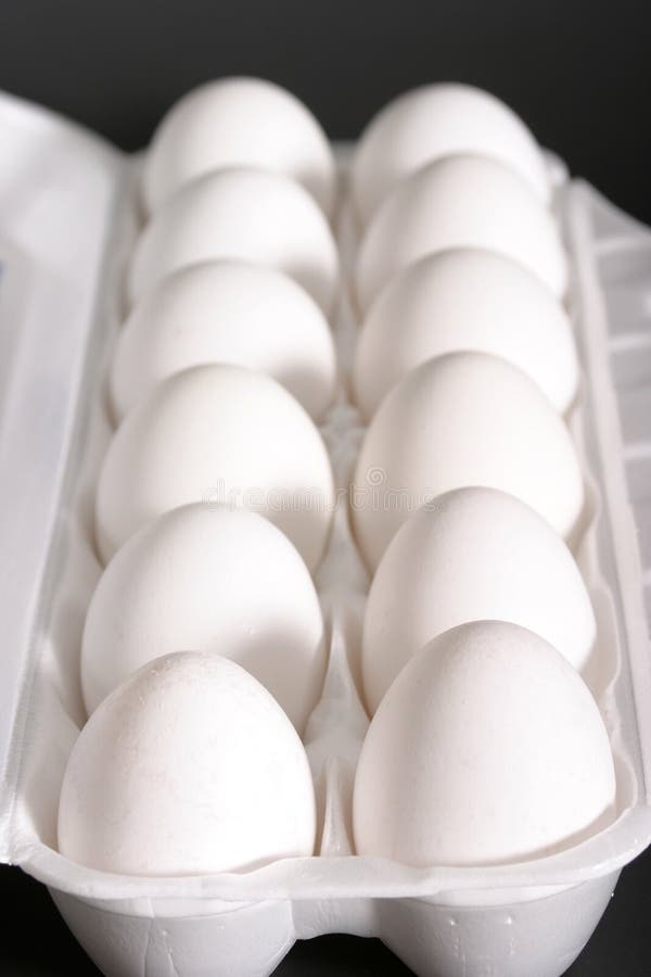 CloseUp of Carton of Eggs 2 Stock Image Image of scrambled, carton