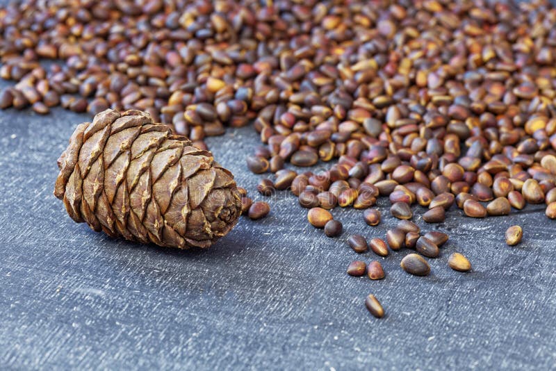 Close Up of Cedar Pine Nuts and Cones on Blackboard Background. Stock Image Image of cones