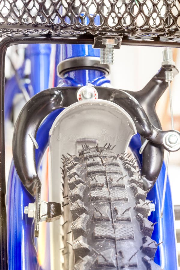 Chain and Sprocket of Bicycle Stock Photo Image of cycling