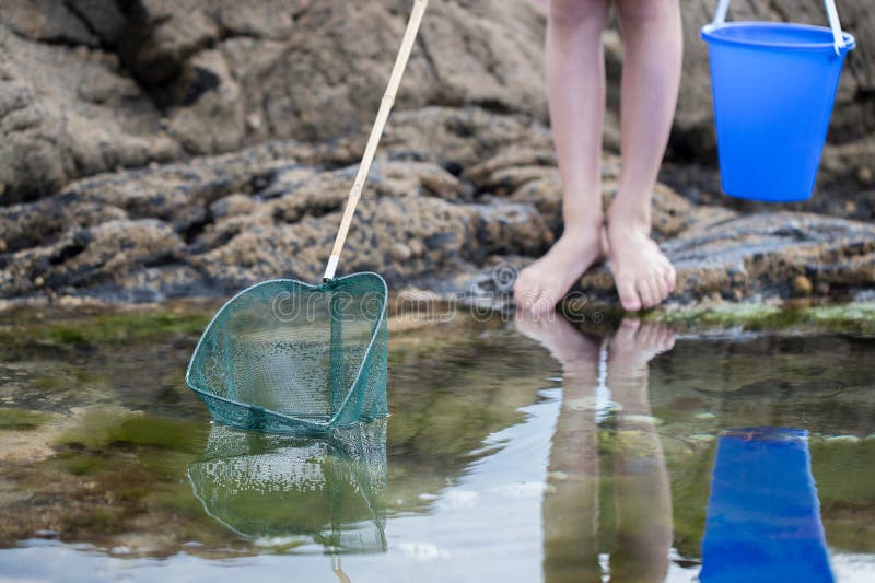 Close Up Of Child Fishing In Rockpool With Net