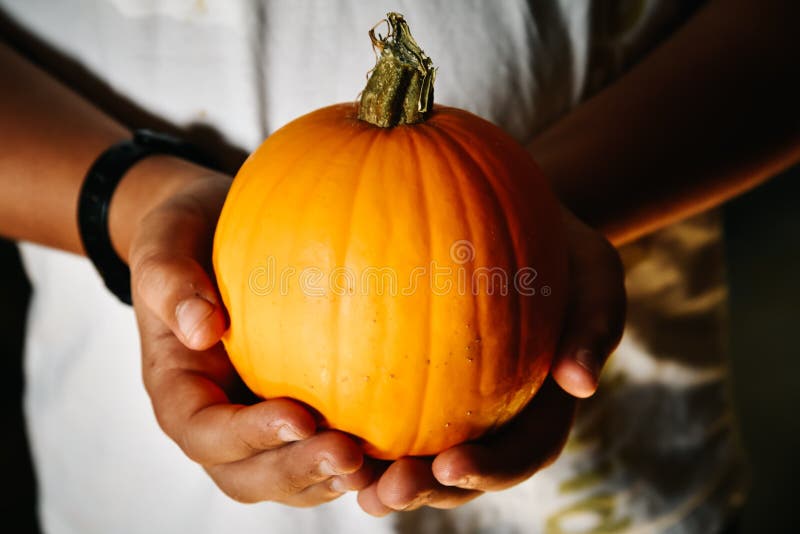 Close up of child hands holding a pumpkin royalty free stock photo Close up of child hands holding a pumpkin royalty free stock photo