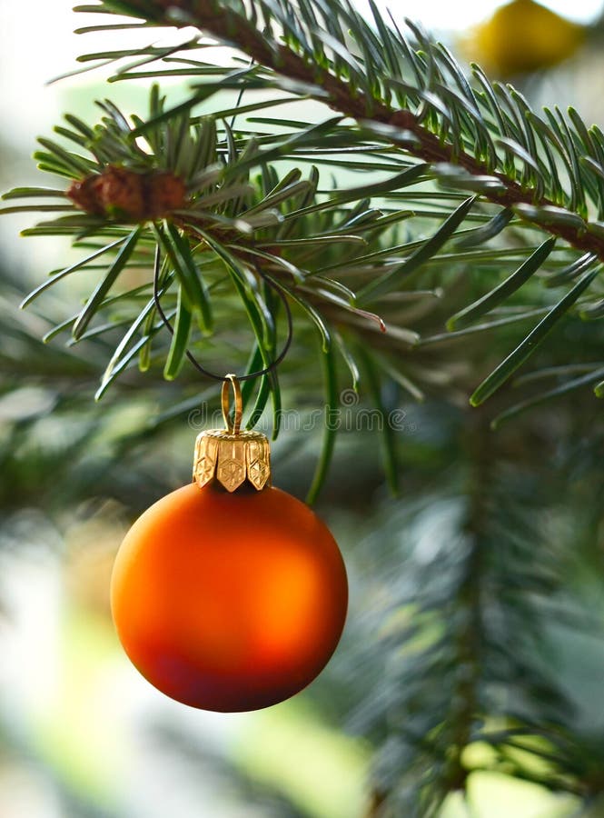 Closeup of a Christmas Tree Ball on a Christmas Tree Stock Image