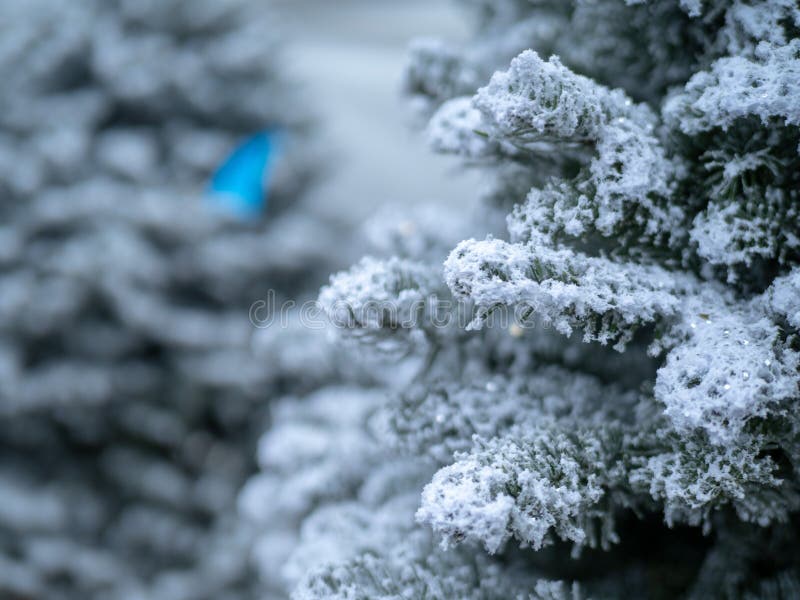 Close Up of Christmas Tree Covered in White Flocking Spray and Powder