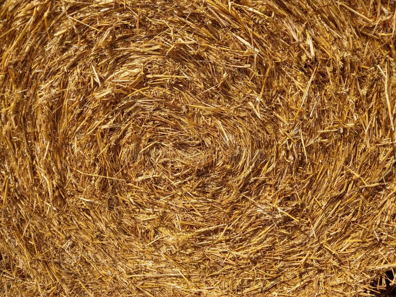 Close-up of Circular Straw Bale in Field