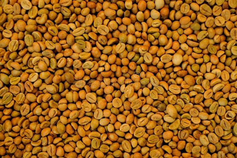 Close Up Coffee Beans Background. Green Bean Coffee Stock Photo Image