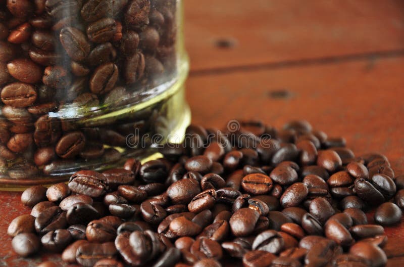 Close up coffee berry stock image. Image of background 60939423