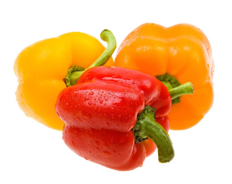 Closeup Color Paprika with Drops on White Stock Photo Image of color