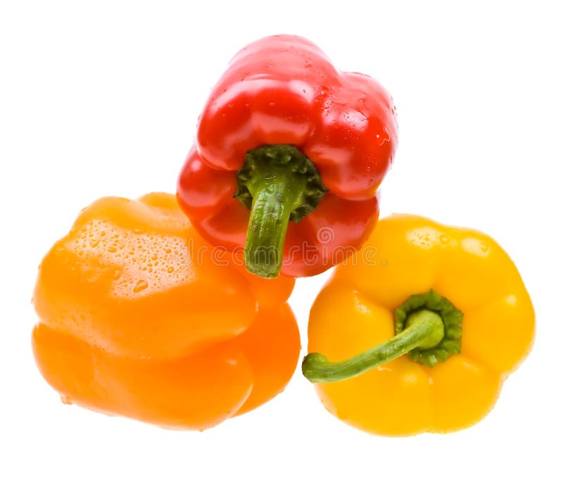 Red hot paprika in water stock photo. Image of meal, close 14700290