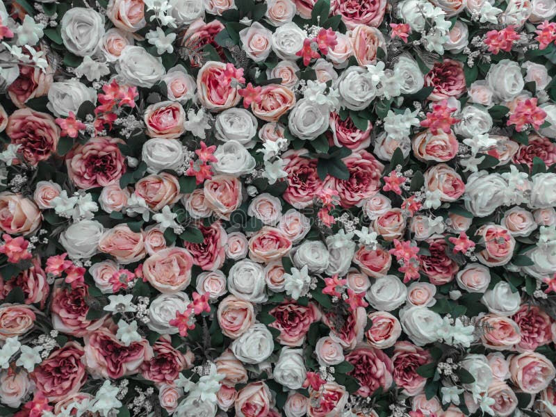 Close Up of Colorful Artificial Roses Flowers Wall Background . Stock Image  - Image of roses, pink: 138644757