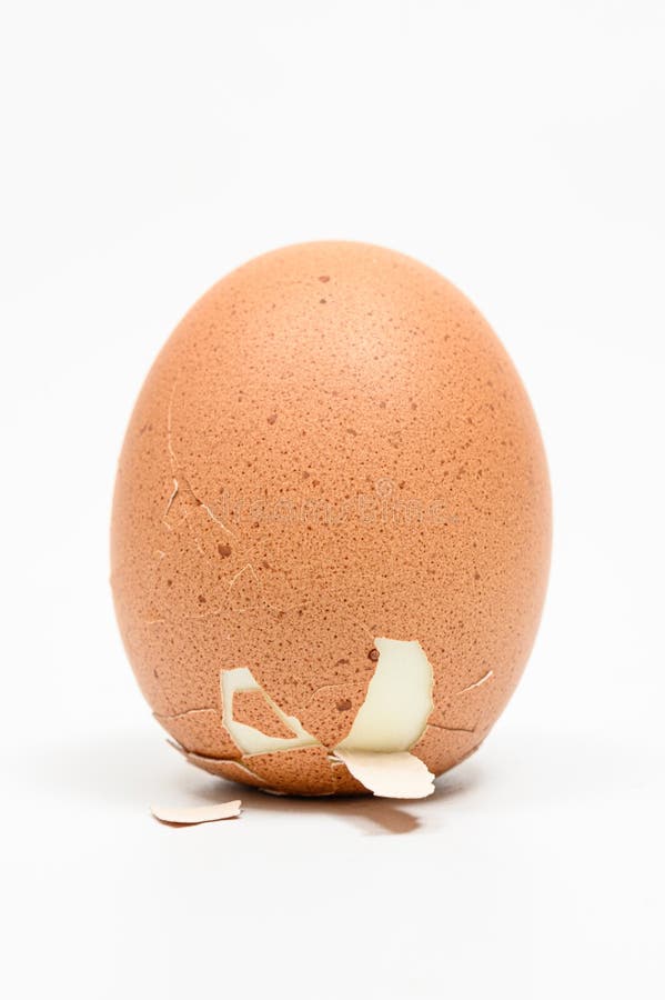 Close-up of a Columbus egg standing on a white background