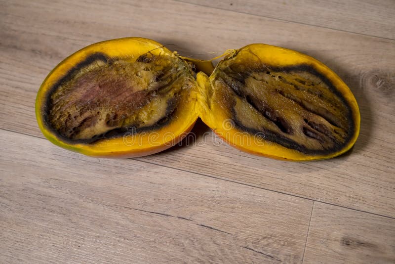 Yellow Rotten Mango Fruit Isolated on Wood Stock Image - Image of hanger,  isolated: 81459851