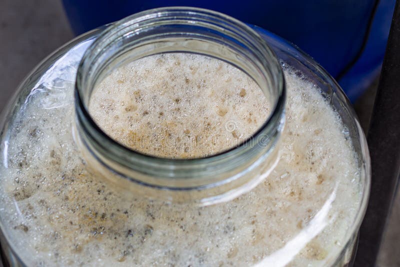 Closeup of Craft Beer and Foam in a Fermentation Container. Process of