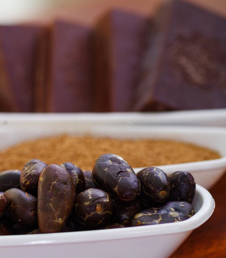 Dark Dry Cocoa Bean, Pieces of Chocolate and Powdered Cocoa Inside of a