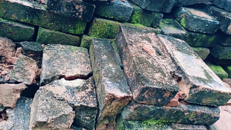 A close-up of dark, weathered bricks intensely overgrown with vibrant green moss royalty free stock photography
