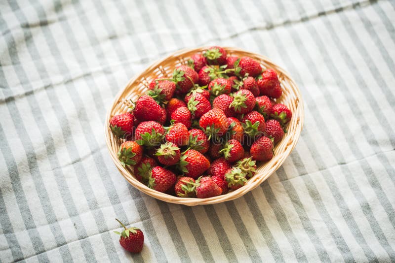 Close-up das morangos em uma cesta fotografia de stock