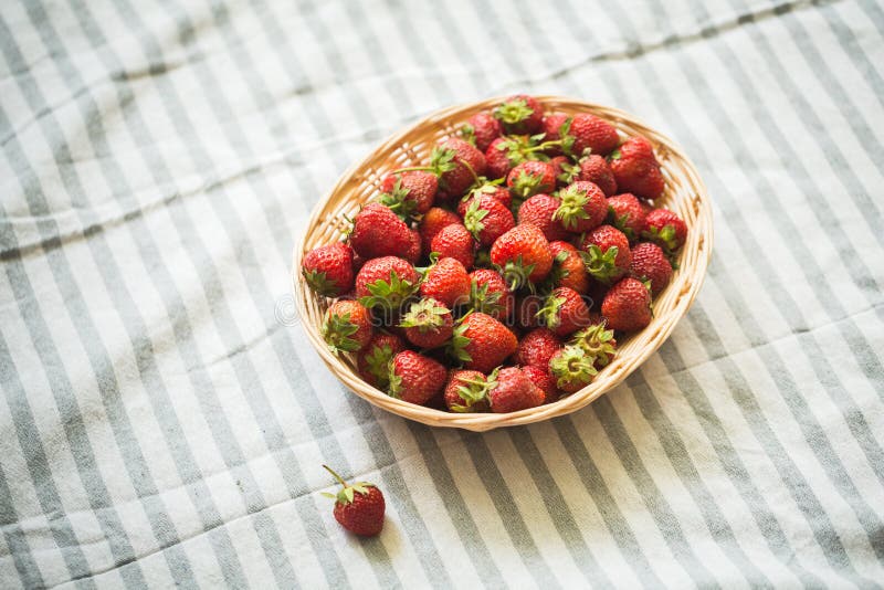 Close-up das morangos em uma cesta imagem de stock
