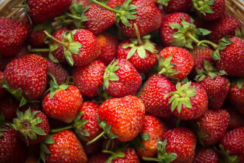Close-up das morangos na cesta de madeira fotos de stock royalty free
