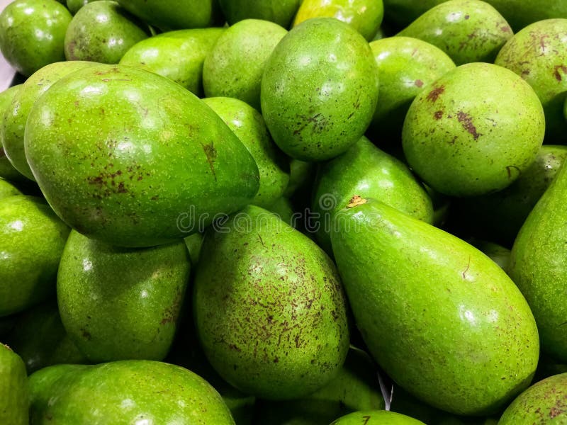 Close-up de abacates verdes e maduros Alimento saudável e nutrição com boas gorduras foto de stock Close-up de abacates verdes e maduros Alimento saudável e nutrição com boas gorduras foto de stock