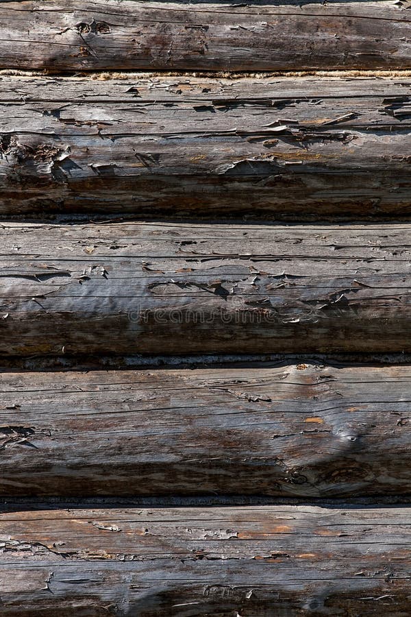 Close up de madeira do fundo da textura de Natutal unpainted fotografia de stock Close up de madeira do fundo da textura de Natutal unpainted fotografia de stock