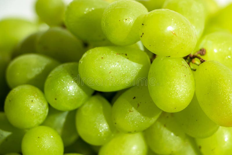 Close-up de uvas verdes imagens de stock royalty free Close-up de uvas verdes imagens de stock royalty free