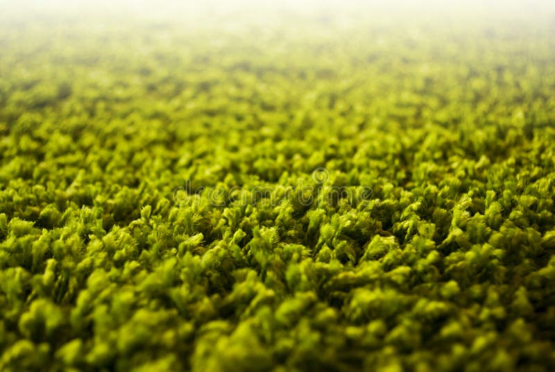 Close Up or Detail of Green Carpet Stock Image Image of interior