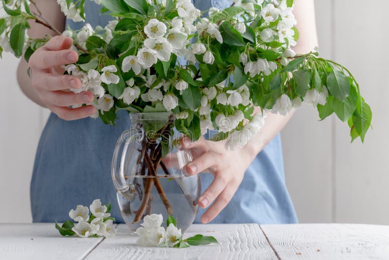 Close-up die van de hand van de vrouw een tak van boom van de de lente de bloeiende appel houden Bloemistconcept stock afbeeldingen Close-up die van de hand van de vrouw een tak van boom van de de lente de bloeiende appel houden Bloemistconcept stock afbeeldingen