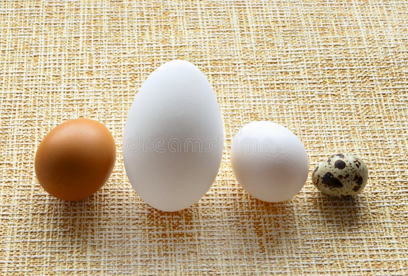 Close-up of different eggs