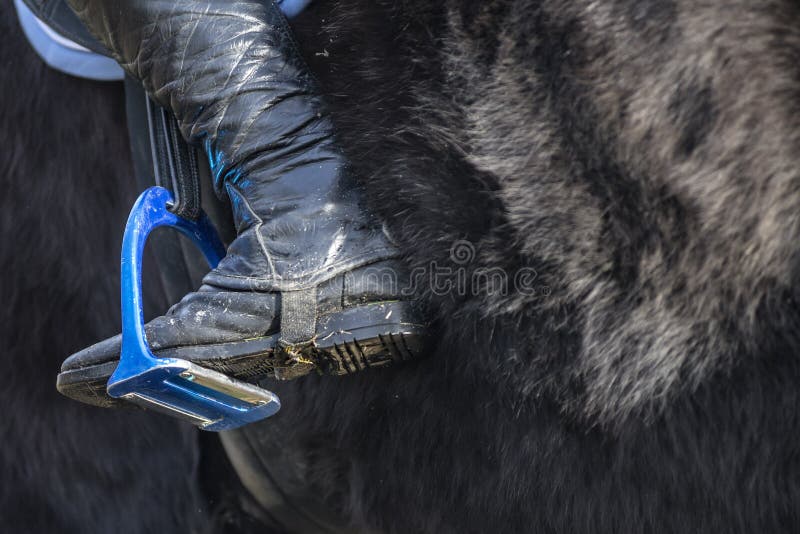 Close up of a dirty riding boot with blue stirrup