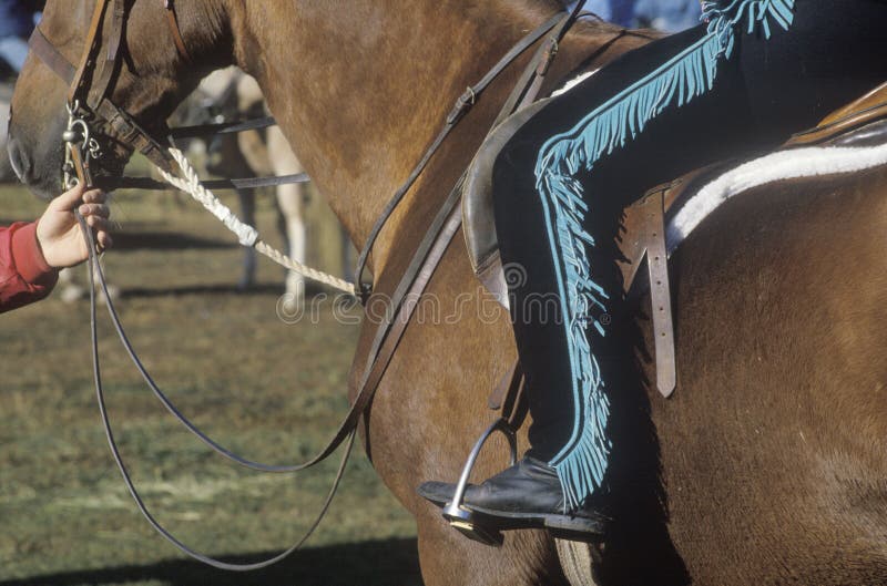 Close-up of rider on horseback, Quarter Horse Event, East Corinth, Vermont. Close-up of rider on horseback, Quarter Horse Event, East Corinth, Vermont