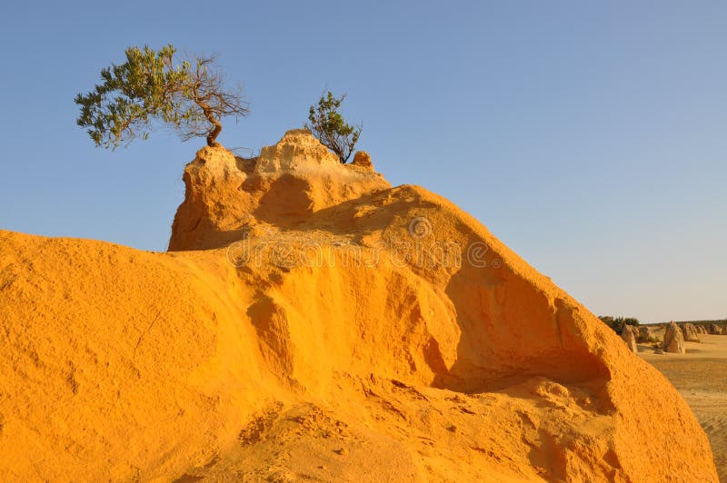 Close up do monte da areia do deserto do pináculo: Austrália Ocidental imagem de stock Close up do monte da areia do deserto do pináculo: Austrália Ocidental imagem de stock