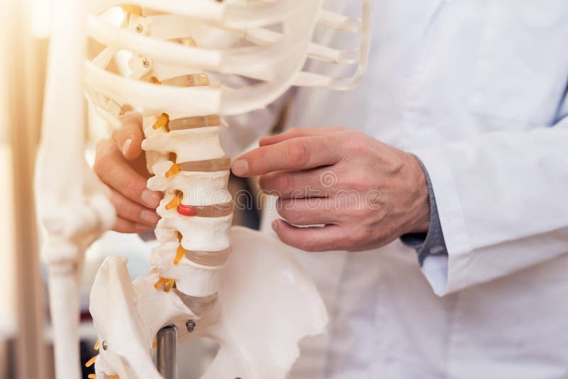 Close up. Doctor is showing vertebrae on skeleton. stock image Close up. Doctor is showing vertebrae on skeleton. stock image