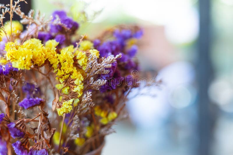 Close Up of Dried Flowers Decorated with Coffee Shops with Copy Space Stock Photo Image of