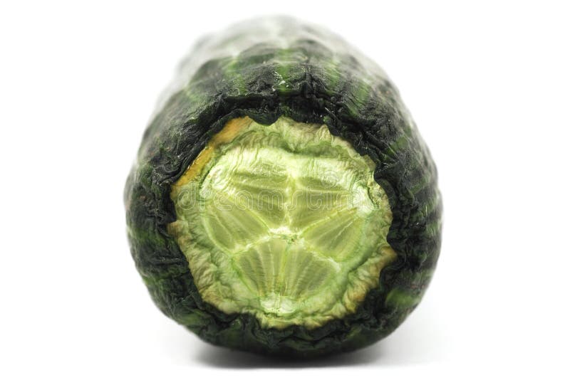 Close Up of Dried Sliced Cucumber Stock Photo Image of cucumber