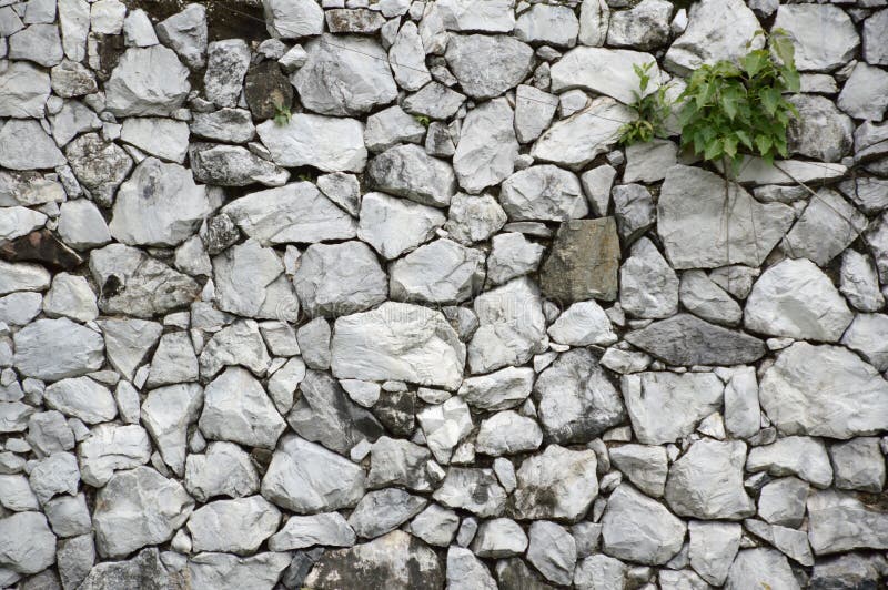 Dry rock wall texture stock photo. Image of abstract 179946632
