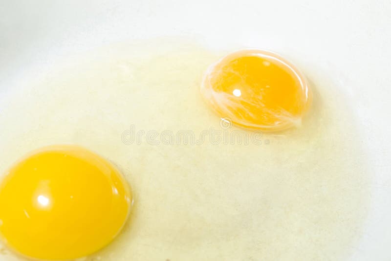 Egg Yolk Protein on the Flour for Bakery Stock Photo Image of food