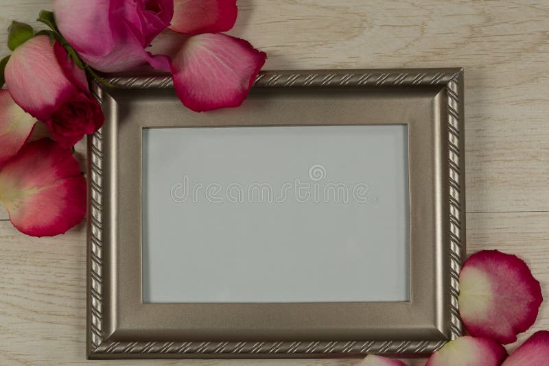 Empty photo frame with rose flower and petals