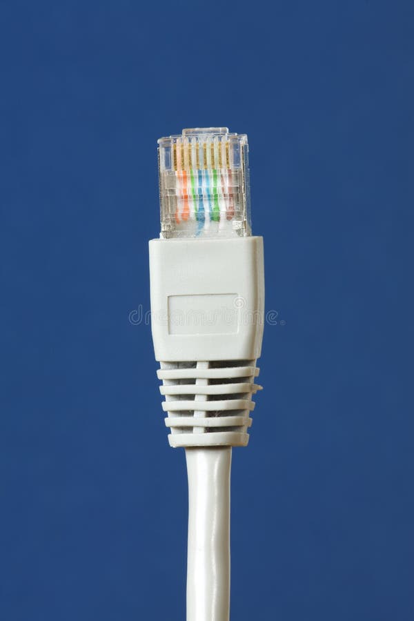 Close up of Ethernet Cable royalty free stock photography
